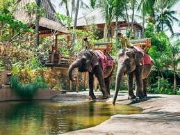 A Sanctuary for Wildlife and Adventure Bali National Park - Indonesia Travel