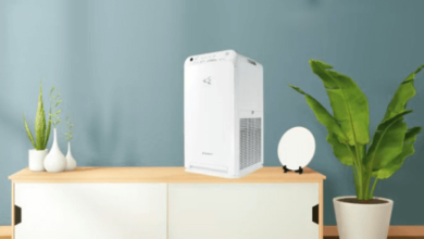 The Role of Air Purifiers in Allergy Relief