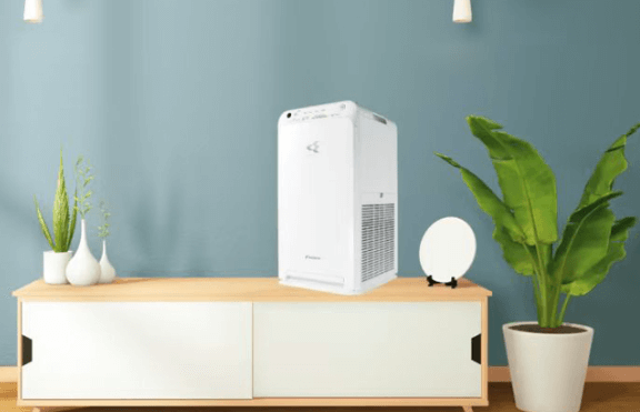 The Role of Air Purifiers in Allergy Relief