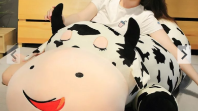 How to Clean and Care for Your Sushi Squishmallow & Giant Cow Plush