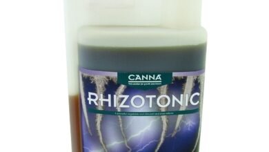 Canna Rhizotonic