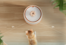 importance of cleaning pet water fountain