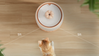 importance of cleaning pet water fountain