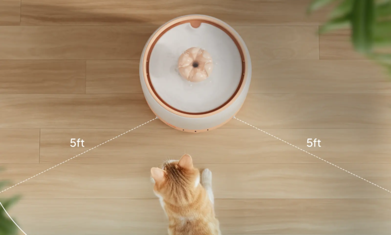 importance of cleaning pet water fountain