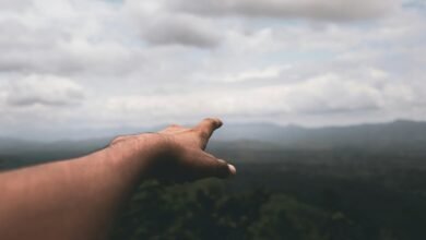 discover call instructions clearly