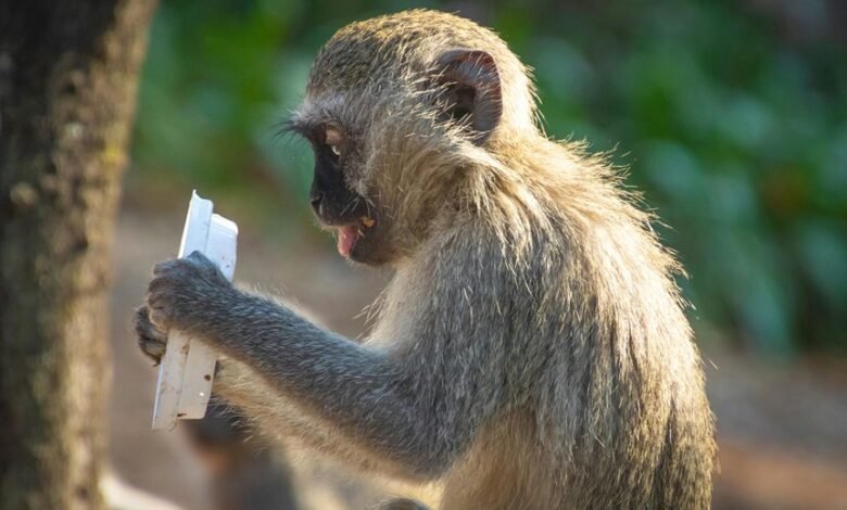 examine line behavior properly