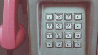 instant phone number lookup