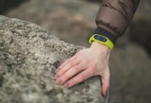 track contact activity today