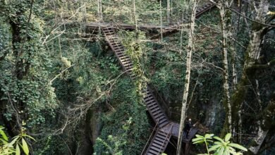 endless opportunity ahead here