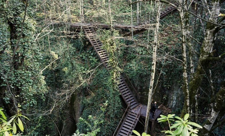 endless opportunity ahead here