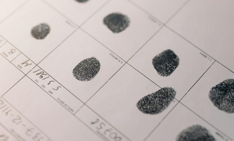 identification report overview